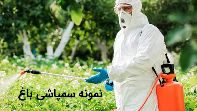 نمونه سمپاشی باغ
